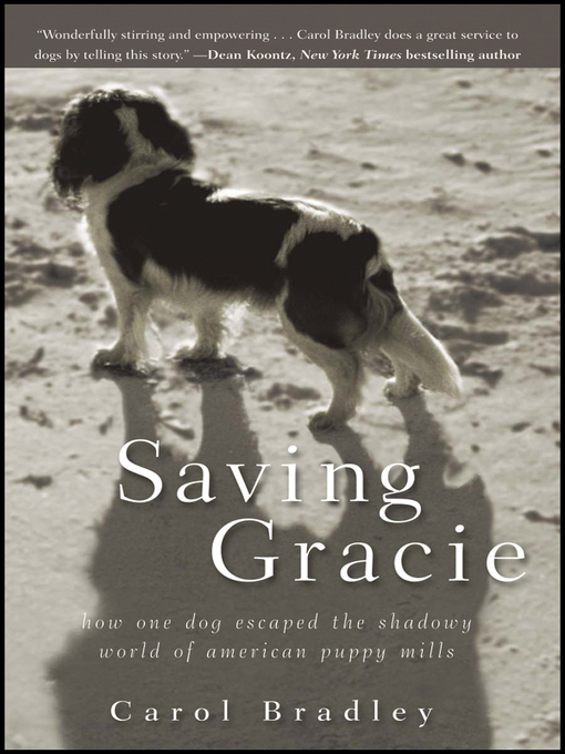 Title details for Saving Gracie by Carol Bradley - Available